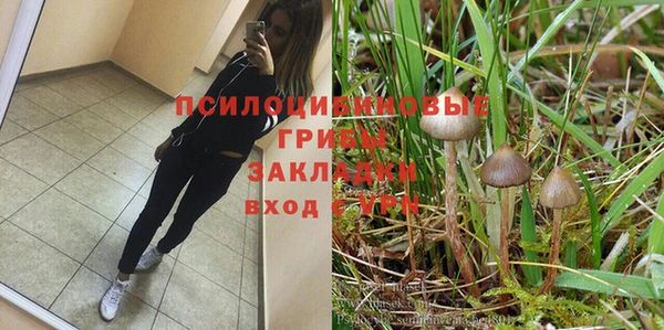 герыч Лагань