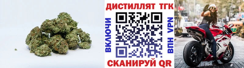 купить наркотик  Ачхой-Мартан  Дистиллят ТГК концентрат 